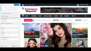 Eximious Magazine Pro Customizer & Widget Options Preview screenshot 1