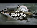 How to catch Winter Grayling | Euronymphing | River Clyde