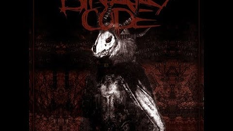 The Binary Code-Encircled