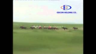 Дарьгангын Алтан Дарь Овооны Азарганы Уралдаан - 2008 Onii Altan Ovoonii Azarganii Uraldaan