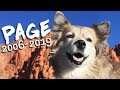 Page Has Passed Away