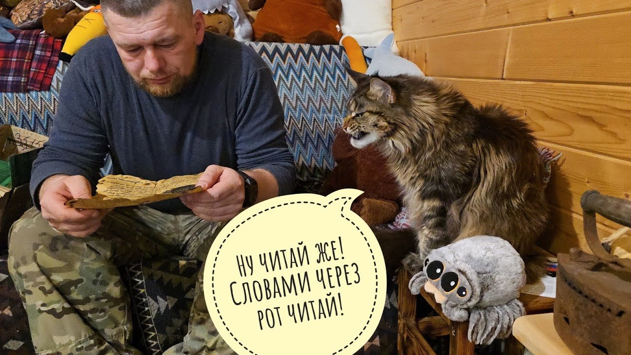 Распаковочки подарков от Маши и подписчиков для Артёма и Пса Кубика. Кошка Морошка контролирует