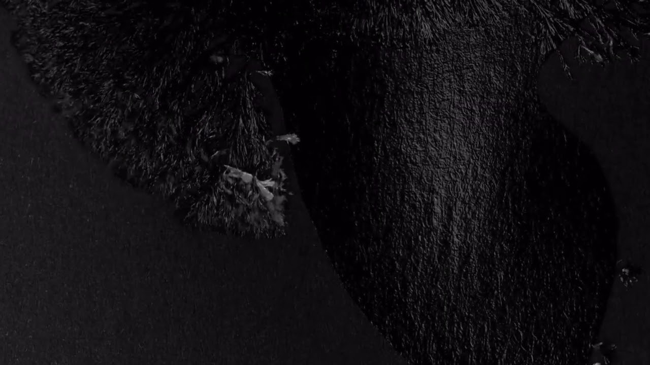 IKE - Beautiful Lie (Polar Flash Remix)