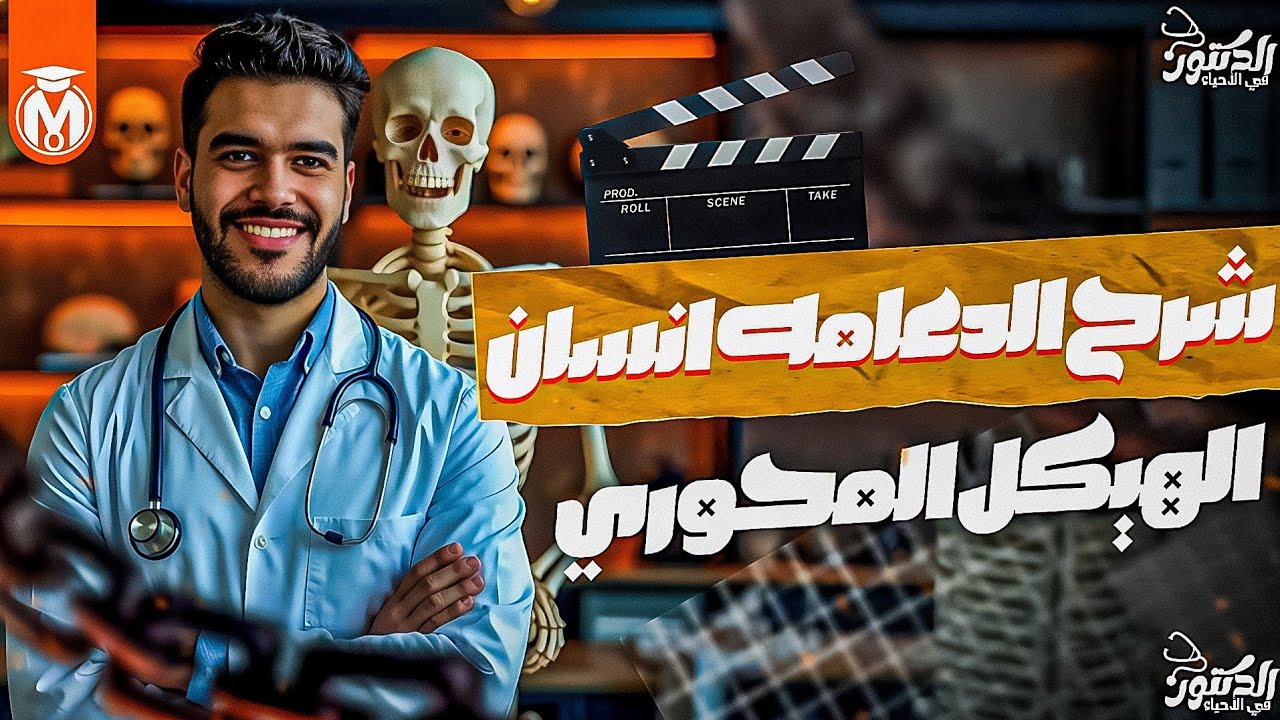 شرح مقدمه الدعامه في الإنسان ❤️ افكار مش ف مكان تاني [ جمجمه _ عمود فقري _ قفص صدري ]