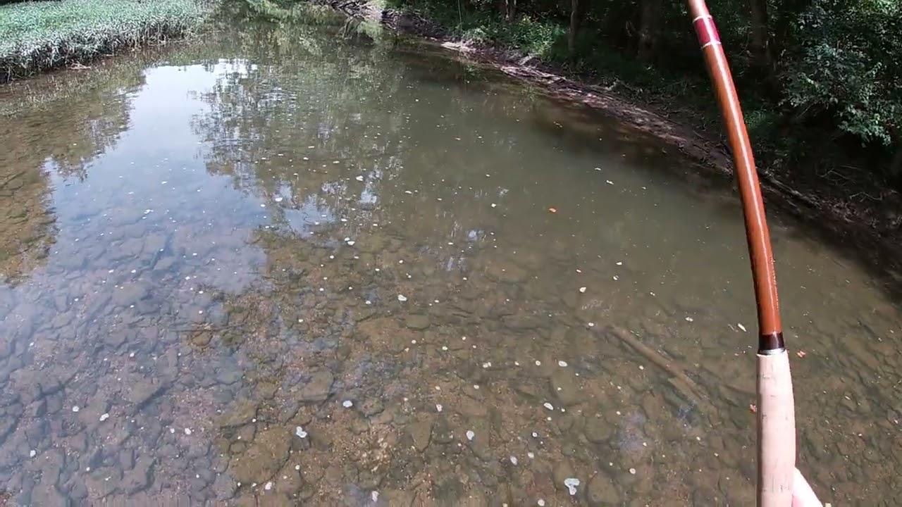 Caesar Creek - Nice Sunfish