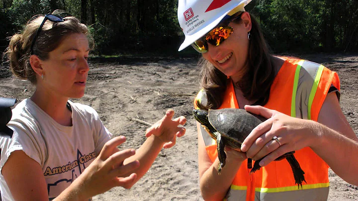 Meet Michelle Rhodes, civil engineer