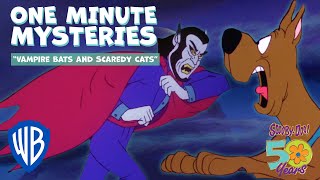 Scooby-Doo! One Minute Mysteries | Vampire Bats and Scaredy Cats | WB Kids