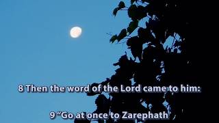 We May Eat Itand Die...