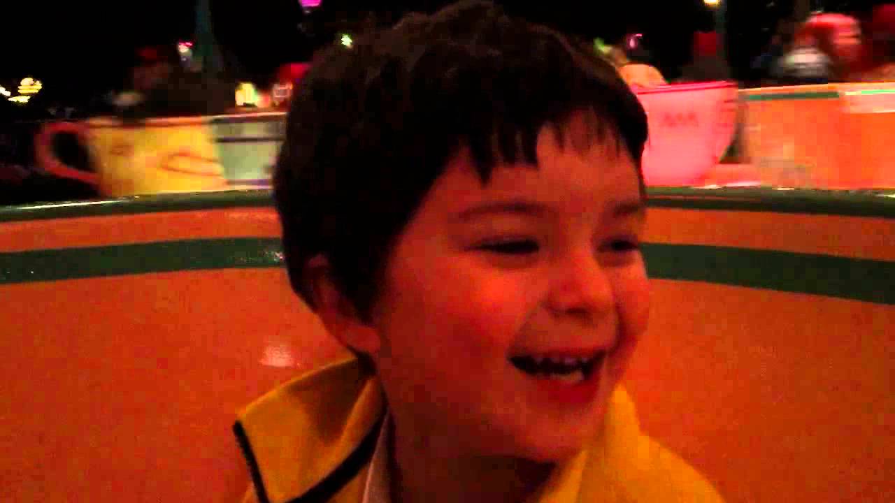 Mad Hatters Tea Cups