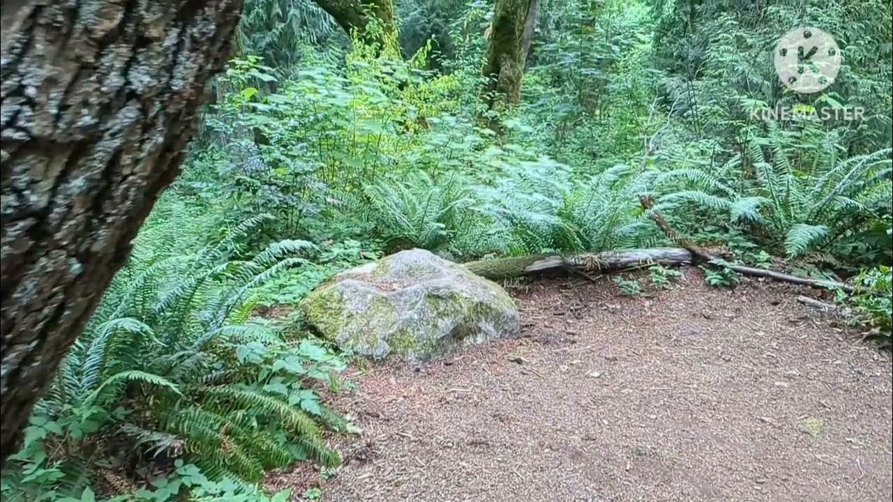 USA Vlogs In Marathi Botanical Garden YouTube usa-vlogs-in-marathi-botanical-garden-youtube