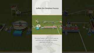 Sulfide Ore Flotation Process