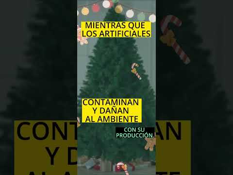 Árbol de Navidad ¿natural o artificial? 🎄🎄