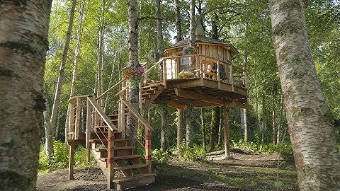 [テレビ予告] 夢のツリーハウス シーズン7 ｜アニマルプラネット