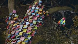 More4 Tree Ident 2017