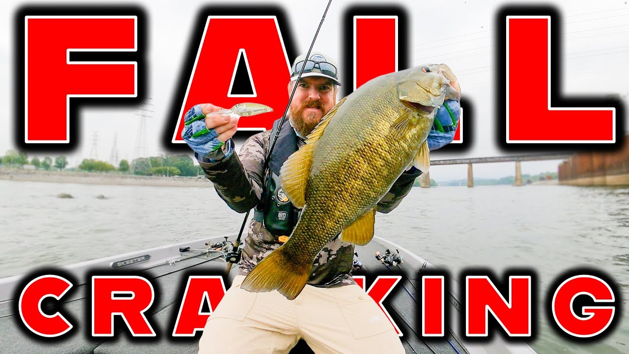 Finesse Fishing Tricks You Need To Try! — Tactical Bassin' - Bass Fishing  Blog