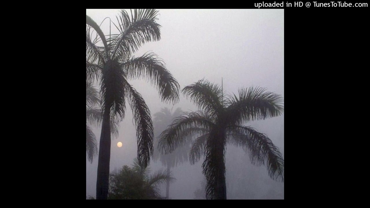 rain - whirr + quannnic + deftones + heavy shoegaze type beat