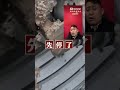 灰蓝色的土 快停下 别挖了 灰蓝色的土 快停下 别挖了