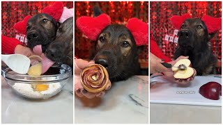 Baked Apple Roses For Dogs Recipe