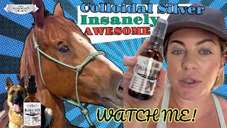 colloidal silver for pets video review taylorw 1