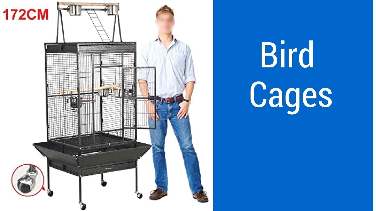 Top 3 Best Bird Cages Can Buy Reviews of Bird Cages YouTube