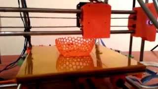 RepRap timelapse