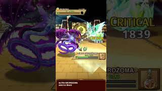 Cosmittora Cooks toa | Bulu Monster