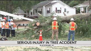 SCDOT worker injured after tree limb falls on him in Blacksburg