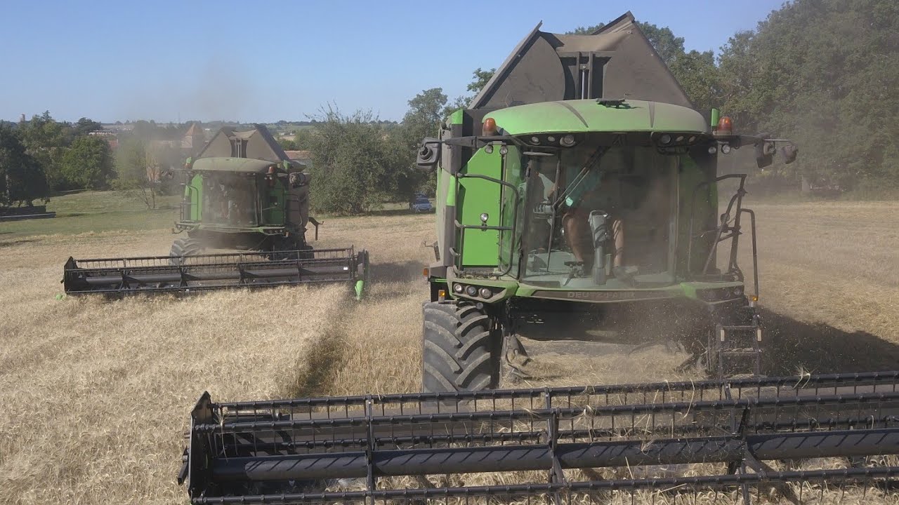 🇫🇷MOISSON DE BLÉ XXL/ FULL DEUTZ FAHR😜🤩