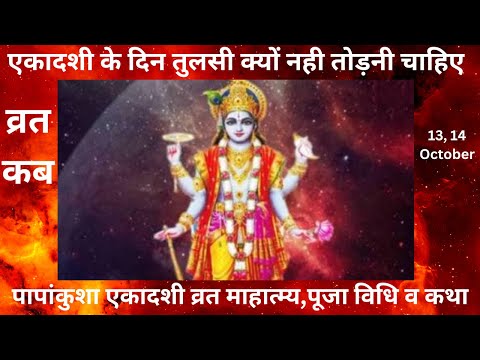 पापांकुशा एकादशी व्रत कब,माहात्म्य,पूजा विधि,कथा,एकादशी केदिन तुलसी क्यों नहीं तोड़नी चाहिए Ekadashi