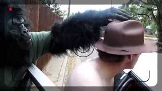 Famous How to Train Your Monkey Net Worth