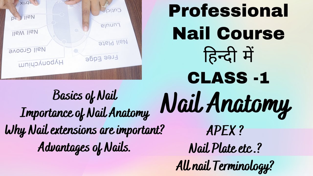 PROFESSIONAL NAIL CLASS DAY 1|Complete Online Free Nail Course|NAIL  ANATOMY|नेल एक्सटैन्शन कोर्स - YouTube | Nail courses, Nail grooves,  Ballerina nails shape