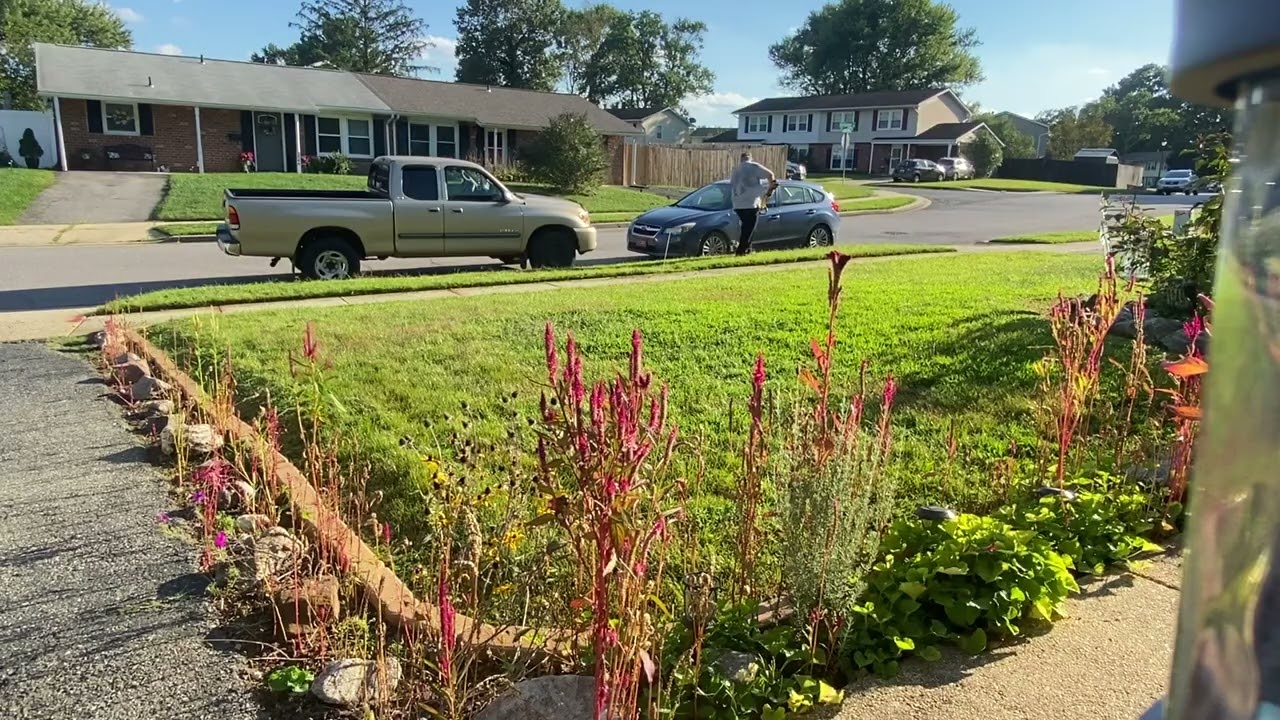 Lawncare, edging, mowing, sidewalk cleanup 