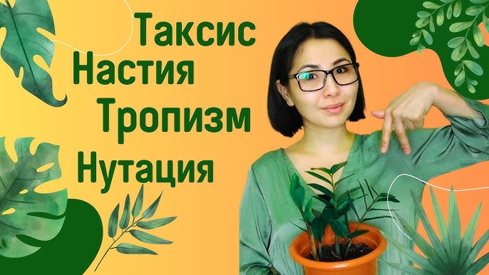 Пискада сик және есектегі саусақ