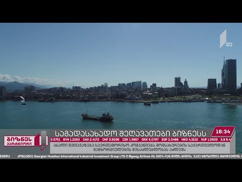 საგადასახადო შეღავათები საზღვაო და აიტი კომპანიებისთვის