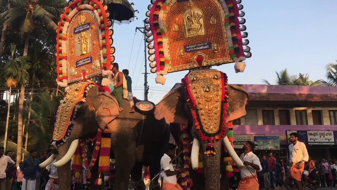Elephants in Kollam Sakthikulangara ulsavam 2018 YouTube
