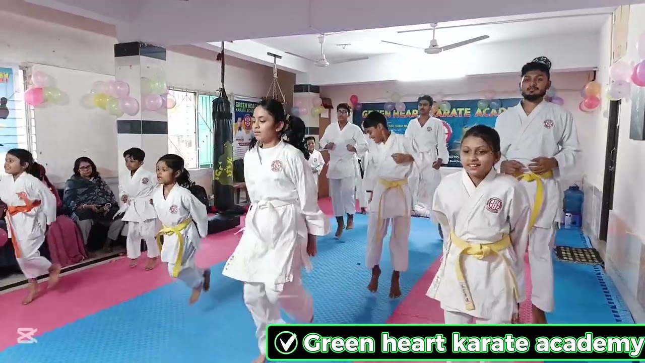 Green heart karate academy 🥋🥋🥊🥊