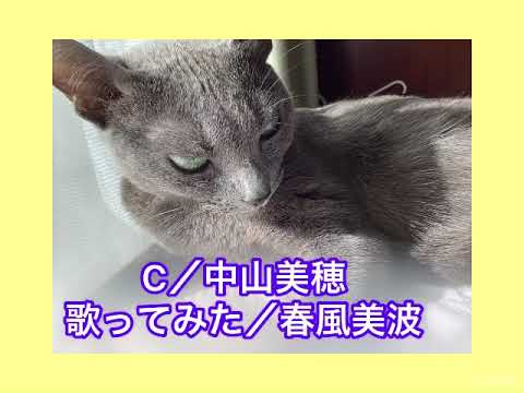 C／中山美穂　歌ってみた／春風美波