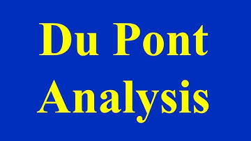 Du Pont Analysis