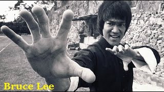 Bruce Lee&#39;s method - &quot;Jeet Kune Do&quot;