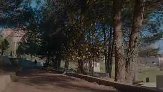 Sen Yokken Bana Çok Eziyet Etiler Anne