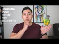 Handling Your Parrot For Beginners | Don't Make These Simple Mistakes!