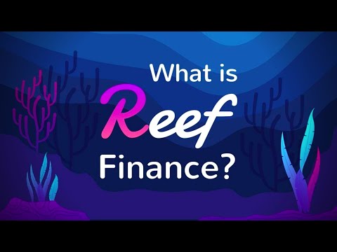 What is REEF Finance? | $REEF Easy Explained