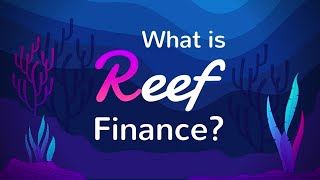 What is REEF Finance? | $REEF Easy Explained