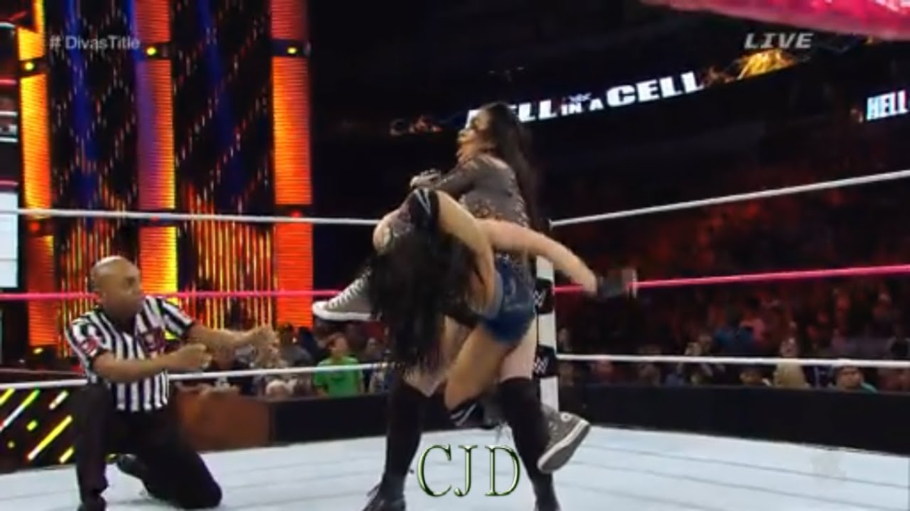 AJ Lee VS Paige Divas Championship Match WWE HELL IN