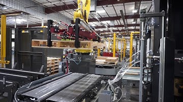 Robotic ITL Case Packer, Robotic Case Palletizer - Adhesive Tubes - BW Integrated Systems