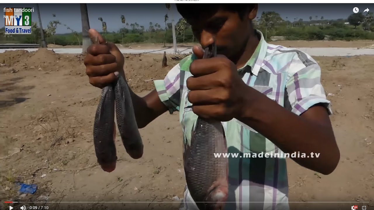 FISH FRY MAKING WITH LESS OIL | HEALTHY VILLAGE FOODS | FISH TANDOORI street food | STREET FOOD