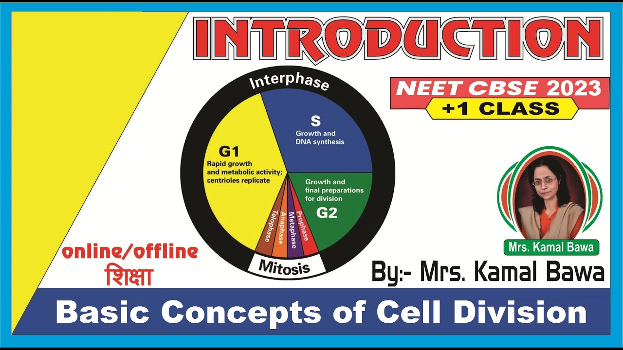 Basic Concepts of Cell Division - YouTube