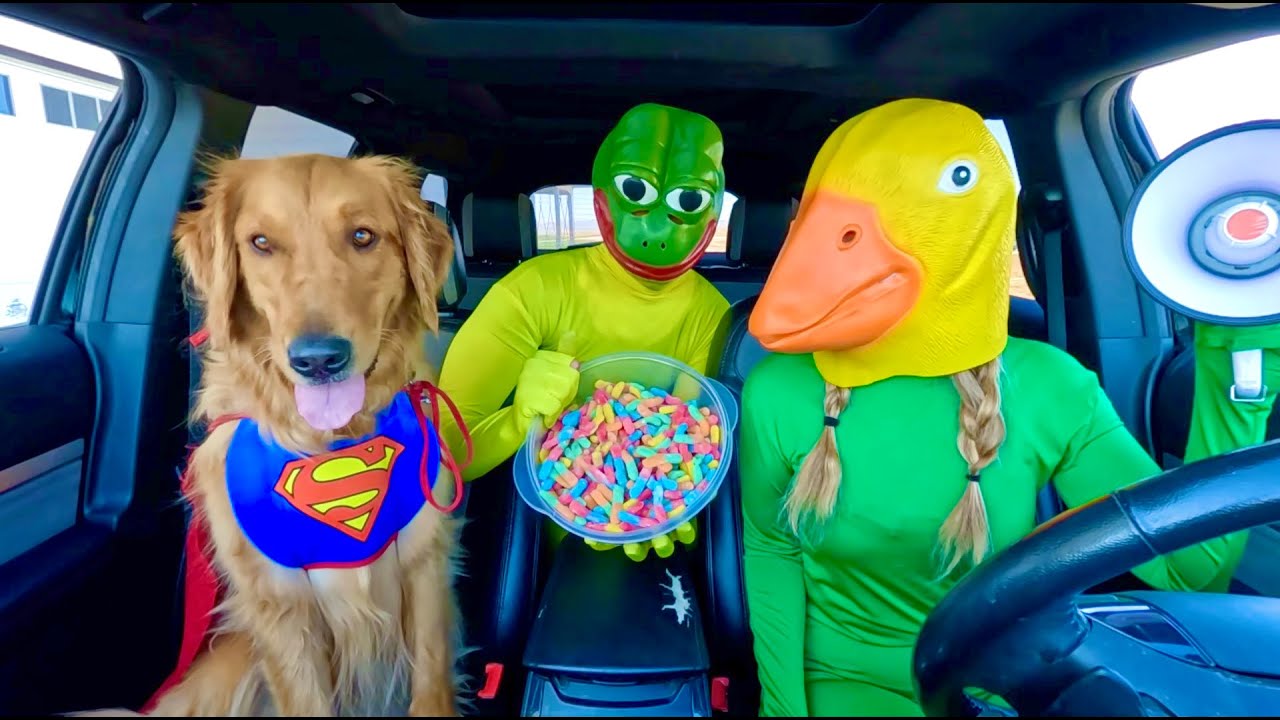 Rubber Ducky Surprises Wolf, Frog & Puppy in Car Ride Chase