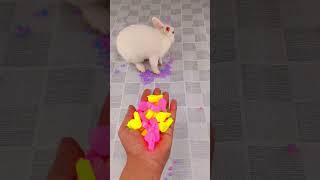 Satisfying Reverse Video Asmr