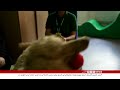 News At Six O Clock 